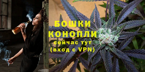 дмт Пересвет