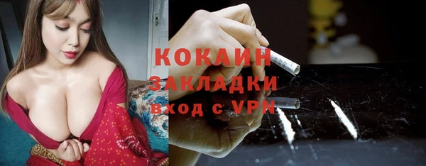 дурь Пестово