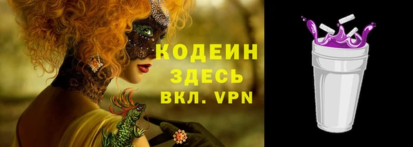 дмт Пересвет