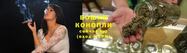 дмт Пересвет