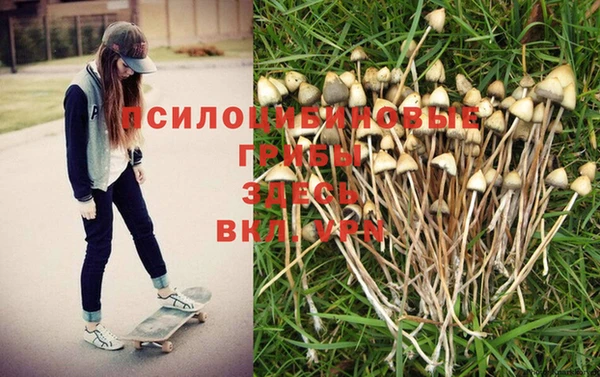 дурь Пестово