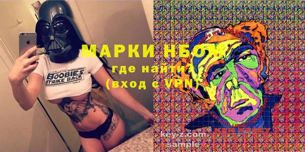 дмт Пересвет