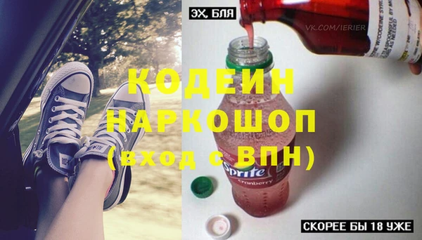 дмт Пересвет