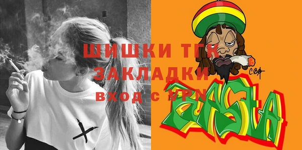 дурь Пестово