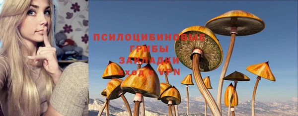 дурь Пестово