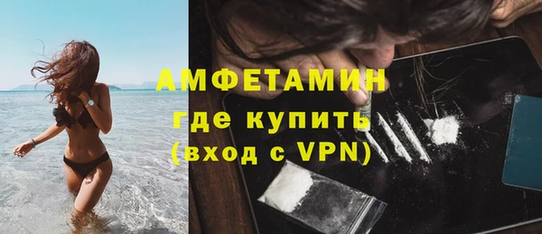 дмт Пересвет