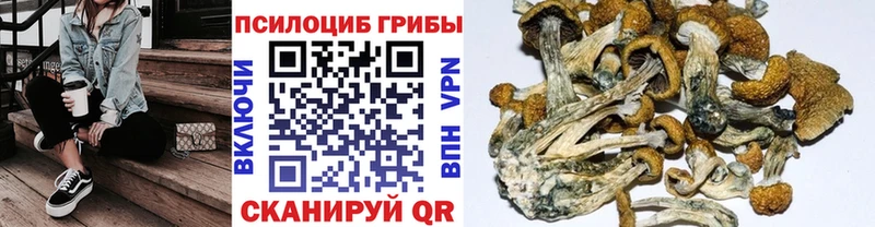 Псилоцибиновые грибы мухоморы  хочу наркоту  Краснодар 
