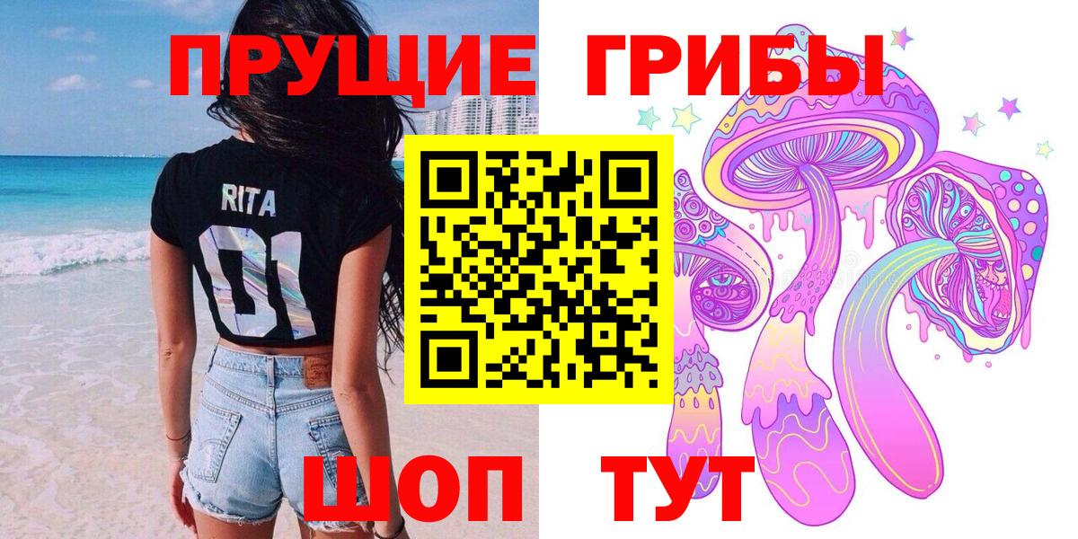 Галлюциногенные грибы Psilocybe  Псилоцибиновые грибы GOLDEN TEACHER  Краснодар  Вход с VPN 